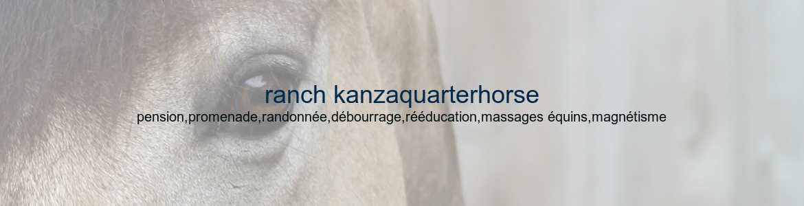 ranch kanzaquarterhorse